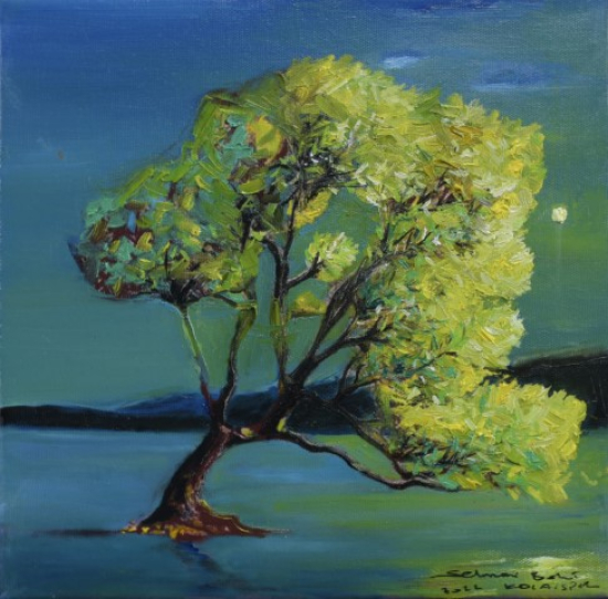 SELMANİ BAKİ KOCAİSPİR