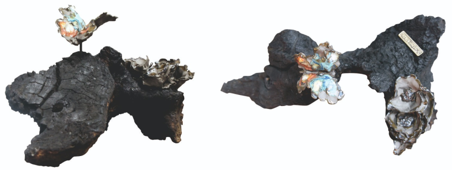 Neslihan DEMİRCİOĞLU 