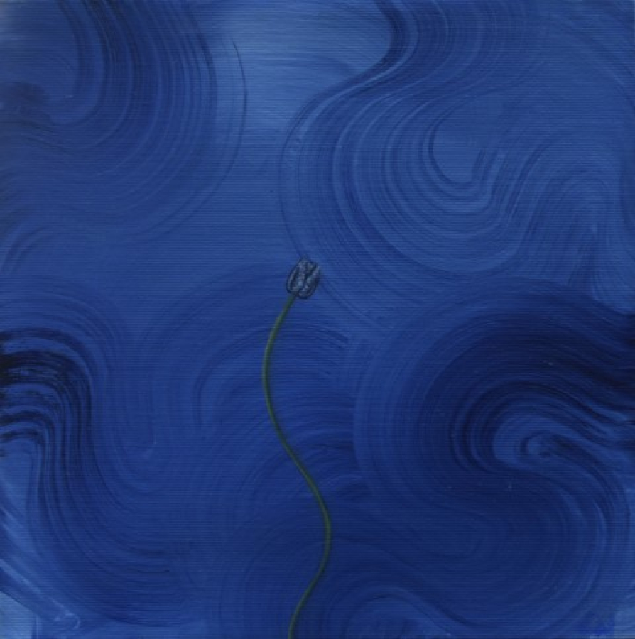 CEYDA HÜSEYİNOĞLU